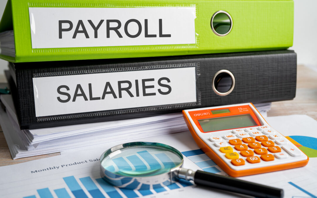 Payroll Services & Single  Touch Payroll